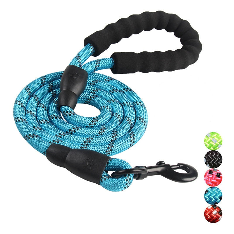Dog Leash