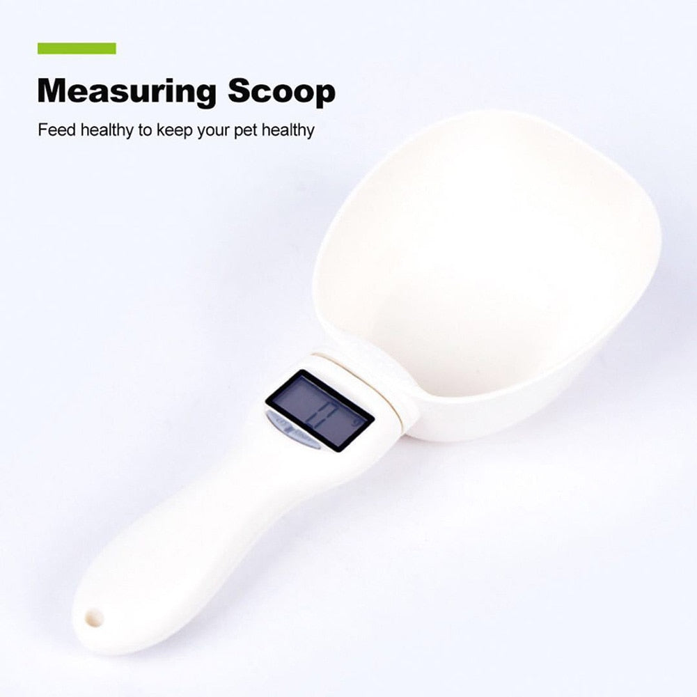 Electronic Measuring Tool